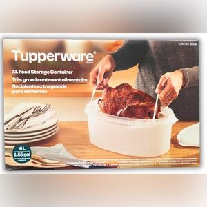 Tupperware White Food Storage Container